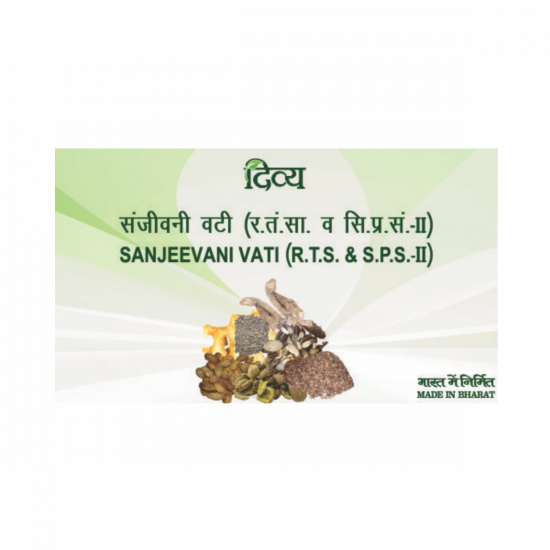 Divya Sanjeevani Vati 160 N 40 g