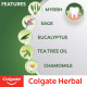 Colgate Herbal Oral Care Toothpaste, Goodness of Natural Ingredients for Healthy Teeth, 200g