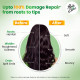 Hair & Care Damage Repair Non-Sticky Hair Oil with Aloe Vera, Olive Oil & Green Tea,200 ml