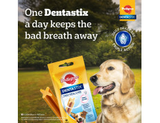 Pedigree Dentastix Oral Care Dog Treat, Adult Small Breed (5-10 kg), 110 g, Recommended by Vets, Supports Gum Health, Reduces Risk of Gum Diseases