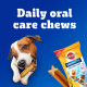 Pedigree Dentastix Oral Care Dog Treat, Adult Small Breed (5-10 kg), 110 g, Recommended by Vets, Supports Gum Health, Reduces Risk of Gum Diseases