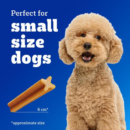 Pedigree Dentastix Oral Care Dog Treat, Adult Small Breed (5-10 kg), 110 g, Recommended by Vets, Supports Gum Health, Reduces Risk of Gum Diseases