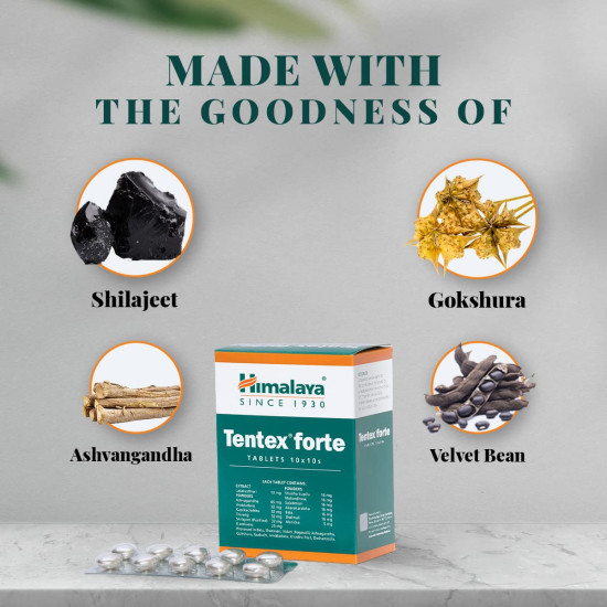 Himalaya Wellness | Tentex forte | Increases desire | Libido enhancer | Power of Ashvagandha and Shilajeet | Strip of 10 Tabs *10 Himalaya Wellness | Tentex forte | Increases desire | Libido enhancer | Power of Ashvagandha and Shilajeet | Strip of 10 Tabs *10