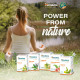 Himalaya Wellness Pure Herbs Amalaki Immunity Wellness |Promotes health | -Pack of 60 Tablets