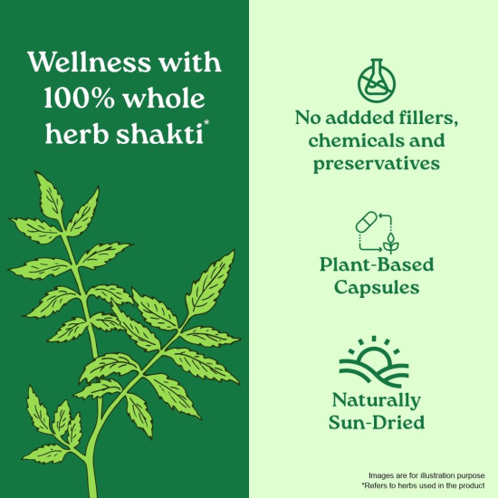 A TATA Product - Organic India Neem Blood Purifier - 60 Veg Capsules, Natural Blood Purifier, Plant-Based Anti-Bacterial, Anti-Viral, With Immunity Boosting Properties, GMP & NPOP Certified Organic