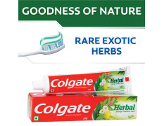 Colgate Toothpaste Herbal - 100 g (Natural)