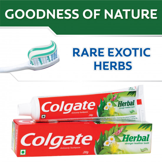 Colgate Toothpaste Herbal - 100 g (Natural)