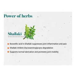 Himalaya Wellness Shallaki Bone & Joint Wellness | Reduces pain and inflammation | Tablets - 60 Count, White (7000368)