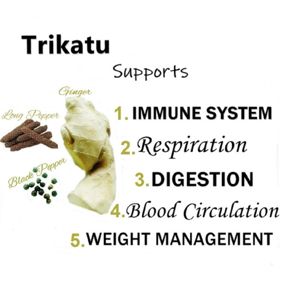 Himalaya Wellness Pure Herbs Trikatu Digestive Wellness - 60 Tablet