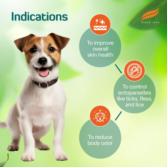 Himalaya Erina-EP Powder | 150 g | Tick & Flea Control for Dogs & Cats | With Neem & Eucalyptus for Skin Health & Hygiene