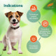 Himalaya Erina-EP Powder | 150 g | Tick & Flea Control for Dogs & Cats | With Neem & Eucalyptus for Skin Health & Hygiene