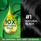 Garnier, Hair Colouring Creme, Long-lasting Colour, Smoothness & Shine, Color Naturals, Shade: 1 Natural Black, 70ml + 60g