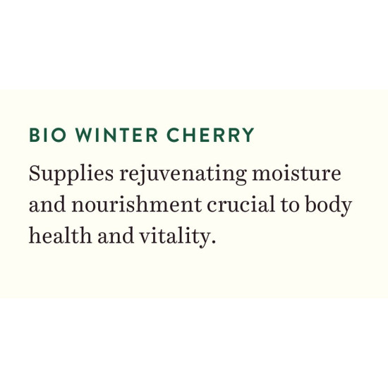 Biotique Winter Cherry Rejuvenating Body Lotion | Moisturizes and Hydrates the Skin | Prevents Ageing, Wrinkles and Dark Spots| 100% Botanical Extracts| Suitable for All Skin Types | 190ml