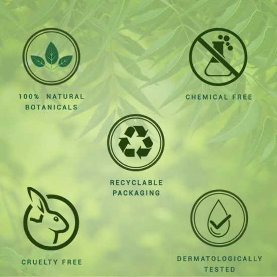 Biotique Fresh Neem Anti Dandruff Shampoo and Conditioner | Controls Dandruff | Eliminates Dryness, Flaking, and Itching | Hair Looks Fresh and Lustrous |Suitable for All Skin Types | 190ml