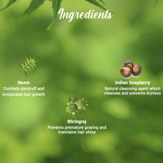 Biotique Fresh Neem Anti Dandruff Shampoo and Conditioner | Controls Dandruff | Eliminates Dryness, Flaking, and Itching | Hair Looks Fresh and Lustrous |Suitable for All Skin Types | 190ml