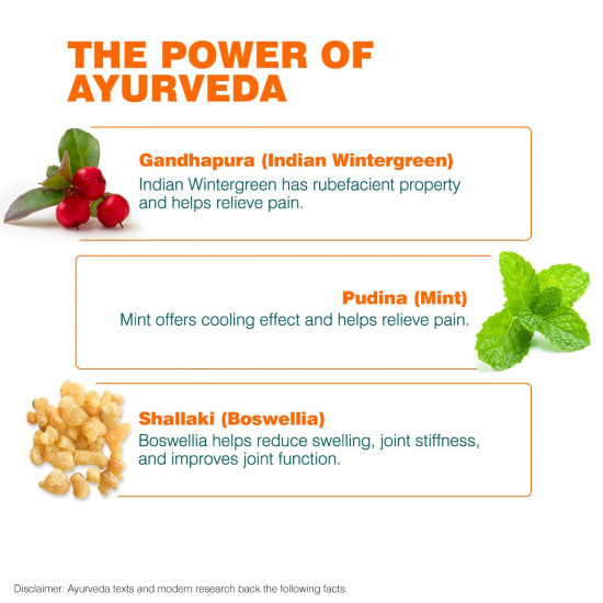 Himalaya Rumalaya gel| Quick relief for body pain| Ayurvedic | 30g