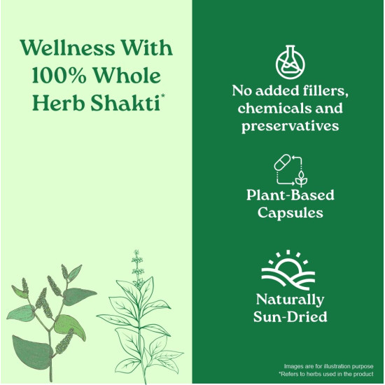 A TATA Product - Organic India Breathe Free - 60 Veg Capsules, Naturally Relieve Shortness of Breath, Wet & Dry Cough, Congestion & Improves Lung Capacity, GMP & NPOP Certified Organic