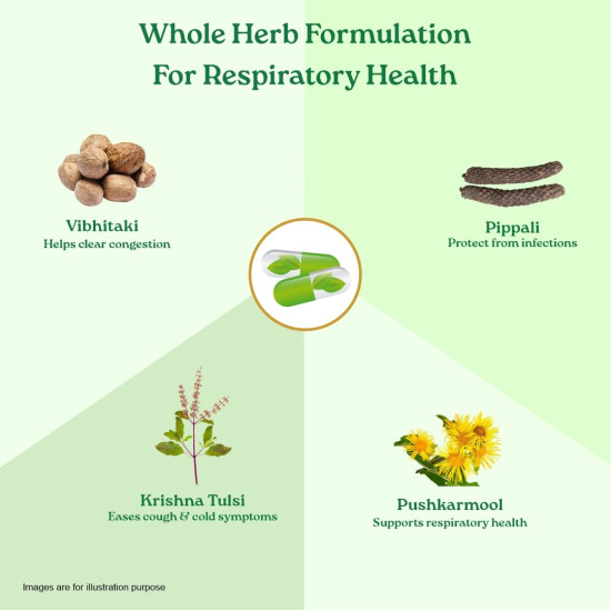 A TATA Product - Organic India Breathe Free - 60 Veg Capsules, Naturally Relieve Shortness of Breath, Wet & Dry Cough, Congestion & Improves Lung Capacity, GMP & NPOP Certified Organic