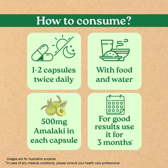 A TATA Product - Organic India Amalaki - 60 Veg Capsules, Natural Vitamin C & Antioxidants, Boosts Immune Response, Detoxify & Rejuvenate Digestive System, Reduce Acidity, GMP & NPOP Certified Organic