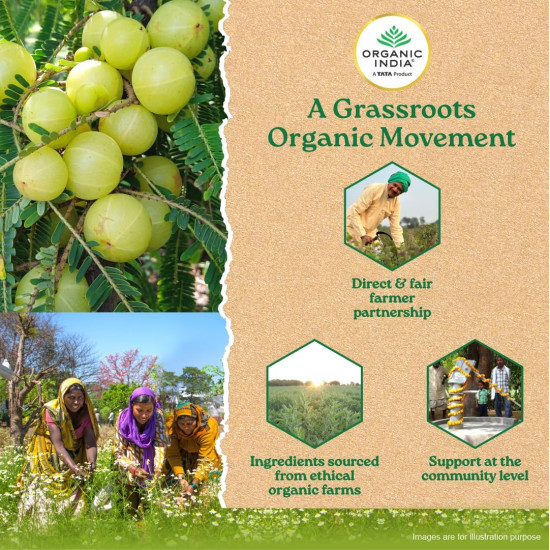 A TATA Product - Organic India Amalaki - 60 Veg Capsules, Natural Vitamin C & Antioxidants, Boosts Immune Response, Detoxify & Rejuvenate Digestive System, Reduce Acidity, GMP & NPOP Certified Organic