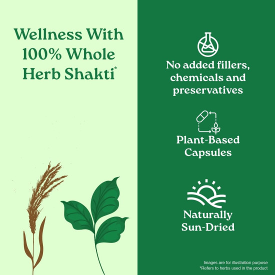 A TATA Product - Organic India Bowelcare - 60 Veg Capsules, Helps Relieve Constipation, Hyperacidity & IBS, Clean & Lubricate Bowel, Normalizes Digestion & Elimination, GMP & NPOP Certified Organic