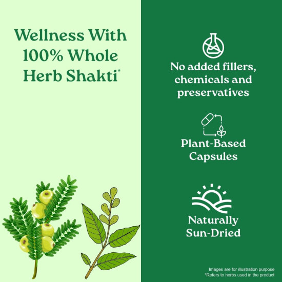 A TATA Product - Organic India Triphala Capsules - 60 Caps, Supports Immune System, Colon & Digestion, Balanced Bowel & Gut Health, Contains Bioactives and Antioxidants, GMP & NPOP Certified Organic