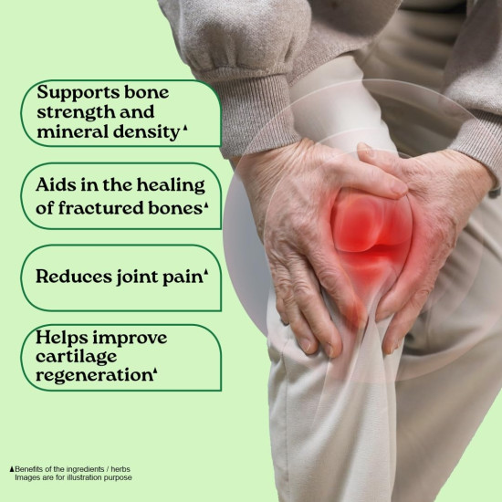 A TATA Product - Organic India Osteoseal 60 Capsule - Bio-available Calcium, Phosphorus & Amino Acids, Helps Increase Bone Mineral Density, Healthy Bone & Teeth GMP & NPOP Certified Organic