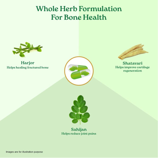 A TATA Product - Organic India Osteoseal 60 Capsule - Bio-available Calcium, Phosphorus & Amino Acids, Helps Increase Bone Mineral Density, Healthy Bone & Teeth GMP & NPOP Certified Organic