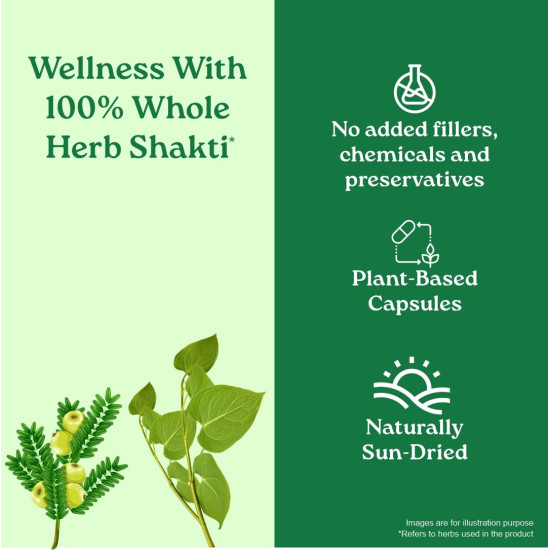 A TATA Product - Organic India Weight Balance - 60 Veg Capsules, Naturally Promotes Healthy Metabolism & Reduces Fatigue, Contains Antioxidants For Better Immunity, GMP & NPOP Certified Organic