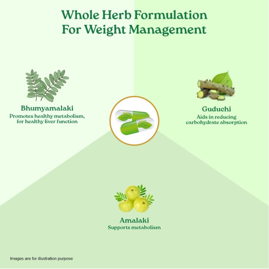 A TATA Product - Organic India Weight Balance - 60 Veg Capsules, Naturally Promotes Healthy Metabolism & Reduces Fatigue, Contains Antioxidants For Better Immunity, GMP & NPOP Certified Organic