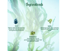 Biotique Ocean Kelp Anti Hairfall Shampoo | Intensive Hair Growth Therapy| Anti Hairfall Shampoo that Maintains Shine |100% Botanical Extracts | Suitable for All Hair Types |800ml