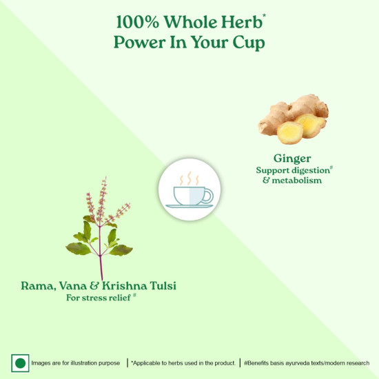 Organic India Infusion Tea Bags - Tulsi Ginger, 25 Bags