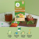 Organic India Infusion Tea Bags - Tulsi Ginger, 25 Bags