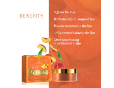 Khadi Natural Peach Lip Balm with Beeswax and Shea Butter | Natural Lip Balm for Soft & Hydrated Lips | Herbal Lip Balm for Chapped Lips | Free from Harsh Chemicals | Unisex Lip Balm | 5gm