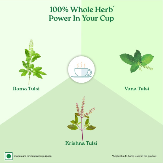 A TATA Product - Organic India Tulsi Green Tea Classic - 25 Tea Bags, Uplifts Mood, Rich in Antioxidants, Blend of Rama, Krishna & Vana Tulsi, Certified Organic