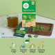 A TATA Product - Organic India Tulsi Green Tea Classic - 25 Tea Bags, Uplifts Mood, Rich in Antioxidants, Blend of Rama, Krishna & Vana Tulsi, Certified Organic