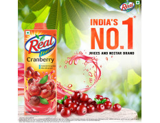 DABUR Real Fruit Power Cranberry, 1L