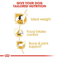 Royal Canin Beagle Adult Dog Food, 3 Kg, Dry Food, Supports Ideal Weight, Helps with Food intake control, Promotes Healthy Bone & Joint health