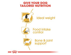 Royal Canin Beagle Adult Dog Food, 3 Kg, Dry Food, Supports Ideal Weight, Helps with Food intake control, Promotes Healthy Bone & Joint health