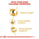 Royal Canin Beagle Adult Dog Food, 3 Kg, Dry Food, Supports Ideal Weight, Helps with Food intake control, Promotes Healthy Bone & Joint health