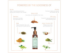 SoulTree Revitalising Hair Oil with Amla & Brahmi – 120ml | For Darker, Thicker Hair, Nourishes & Strengthens, Enhances Shine | Natural, Chemical-Free Formula for Men & Women