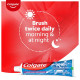 Colgate Maxfresh 80g Dental Hygiene Toothpaste Peppermint Ice (Blue Gel)