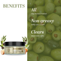 KHADI NATURAL Ayurvedic Sandal and Olive Face Nourishing Cream With Sheabutter, 50g