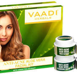 Vaadi Herbals Anti Acne Aloe Vera Facial Kit with Green Tea Extract, 70g