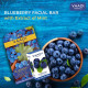 Vaadi Herbals Value Blueberry Facial Bars with Extract of Mint, 25gm x 4