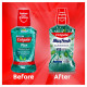 Colgate Plax Antibacterial Mouthwash, 24/7 Fresh Breath - Pack of 250ml, (Fresh Mint)