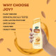 Joy Honey & Almonds Advanced Nourishing Lightweight Summer Body Lotion 300ml With Shea Butter For Summers | Natural Sunscreen Filters | Suitable for Normal to Dry Skin