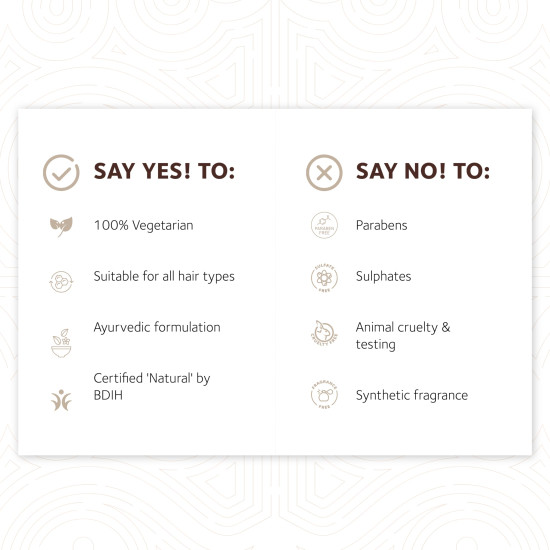 SoulTree Nourishing Hair Oil with Methika, Bhringraj & Virgin Coconut Hair Oil | Suitable for All Hair Types | 120ml SoulTree Nourishing Hair Oil with Methika, Bhringraj & Virgin Coconut Hair Oil | Suitable for All Hair Types | 120ml