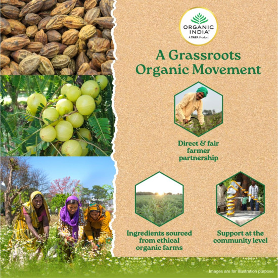 A TATA Product - Organic India Triphala Powder - 100g, Supports Immune System, Colon & Digestion, For Balanced Bowel & Gut Health, Contains Bioactives and Antioxidants, GMP & NPOP Certified Organic