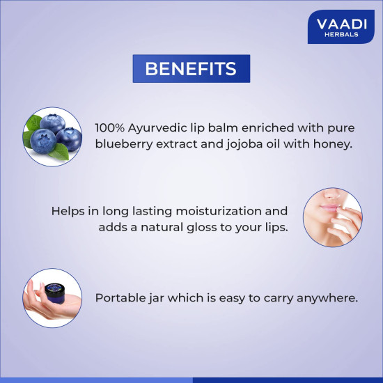 Vaadi Herbals Lip Balm, Blueberry, 10g